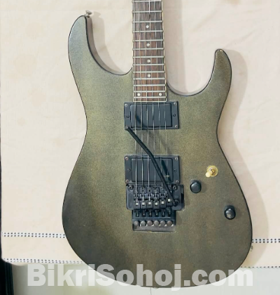 Fernandes Electric Guiter